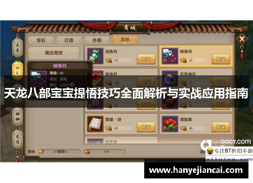 天龙八部宝宝提悟技巧全面解析与实战应用指南